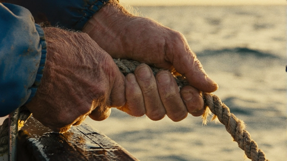 Close-up of weathered hands at sunset
